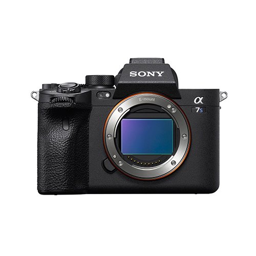 Mirrorless Camera