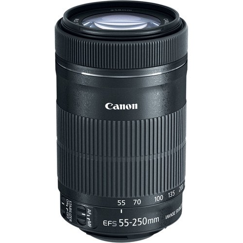 Canon EF-S 55-250mm f/4-5.6 IS STM Lens