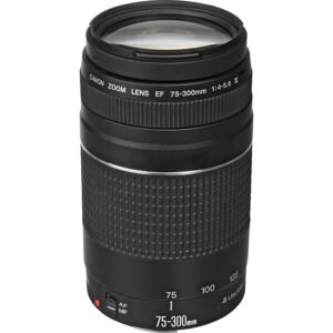 Canon EF 75-300mm cheapest f/4-5.6 Ill Zoom Lens