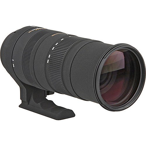 Sigma 150-500mm f/5-6.3 APO DG OS HSM Lens for Nikon F Mount - GP Pro