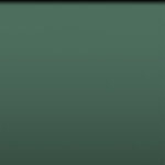 IndusLite Dark Green Paper Backdrop Roll (INDL-22)