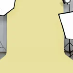 Indus Papers Studio Background – #102 Citrus