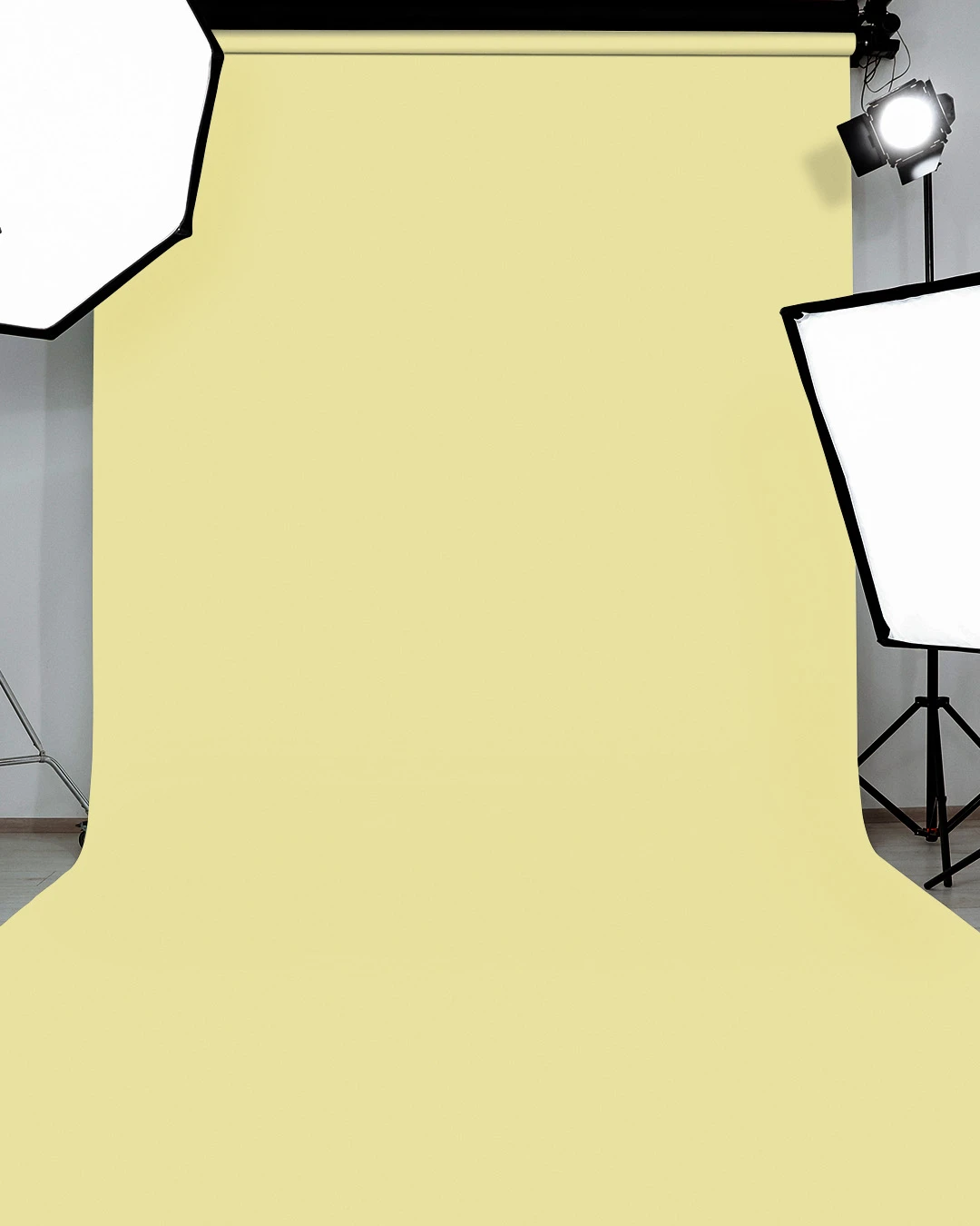 Indus Papers Studio Background – #102 Citrus