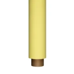 Indus Papers Studio Background – #102 Citrus