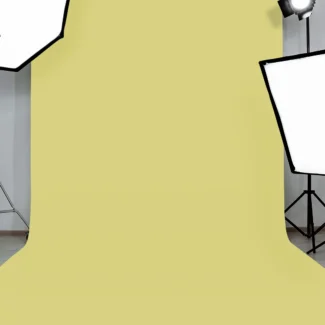 Indus Papers Studio Background – #101 Olive