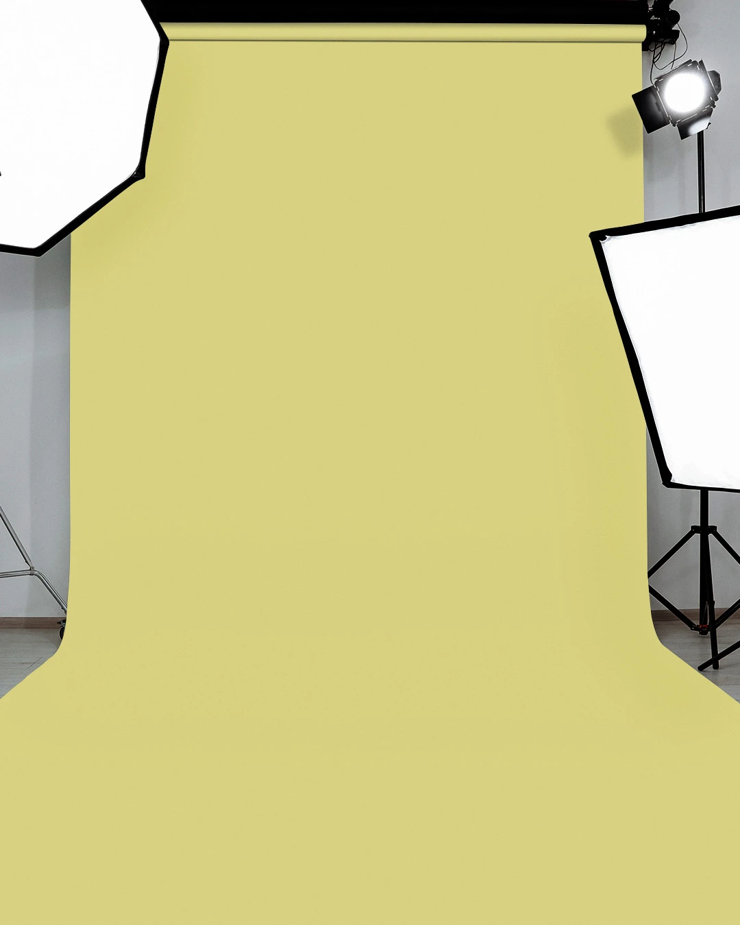 Indus Papers Studio Background – #101 Olive